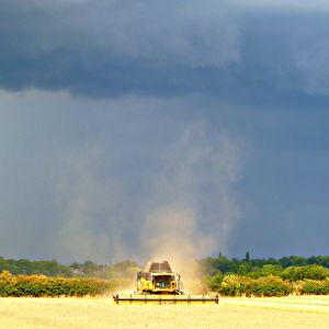 New_Holland_combine_at_work_near_Stoneleigh_2.jpg