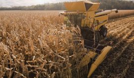 Аренда техники