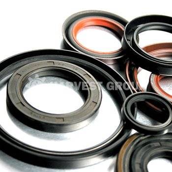 Комплект уплотнений цилиндра 4.00 X 1.38 (REP. MASTER CYL.3C8698 / SN8781-1) AGCO