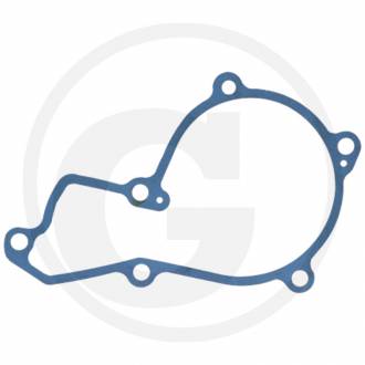 Прокладка водяного насоса R119383