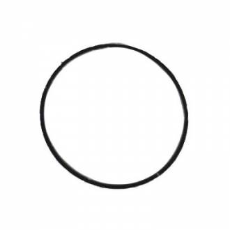 Кільце сапуна